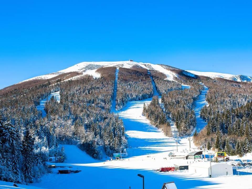 Forest Soul Deluxe Apartments Bjelašnica Zewnętrze zdjęcie